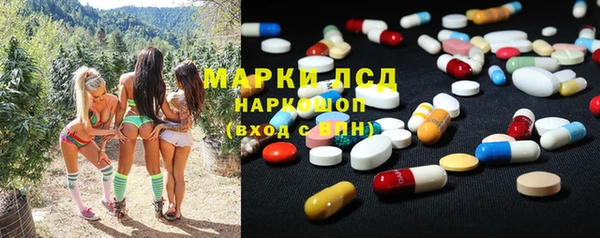 ПСИЛОЦИБИНОВЫЕ ГРИБЫ Краснослободск