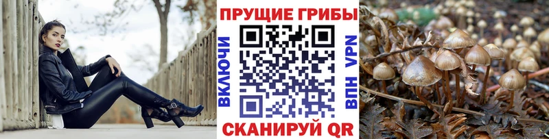 Псилоцибиновые грибы прущие грибы Татарск